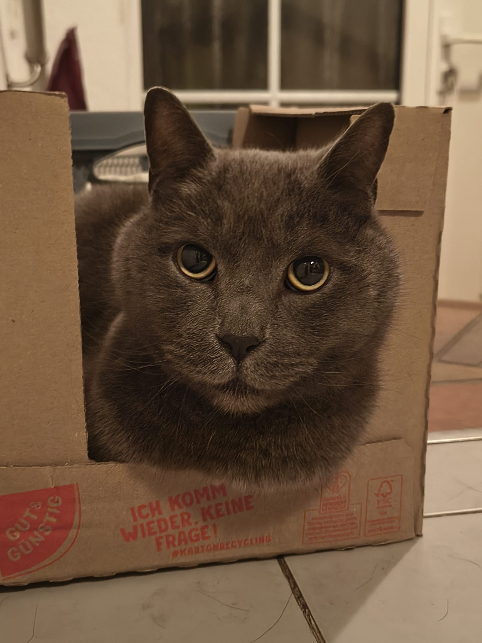 Max (Vermittlungshilfe)